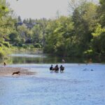 The Elbow River at Sandy Beach Park on a summer day, Calgary