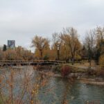 Autumn trees along the Elbow River near Mission with downtown Calgary towers beyond